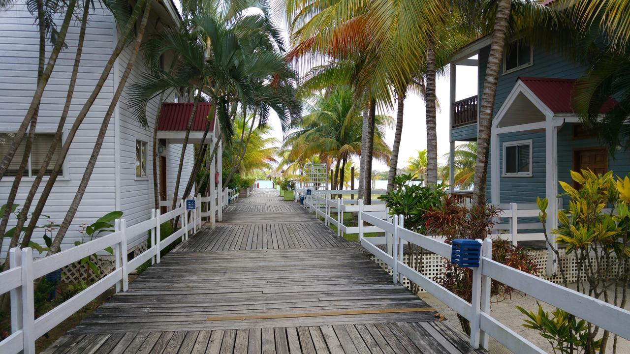 Las Palmas Beach Hotel Dixon Cove Esterno foto