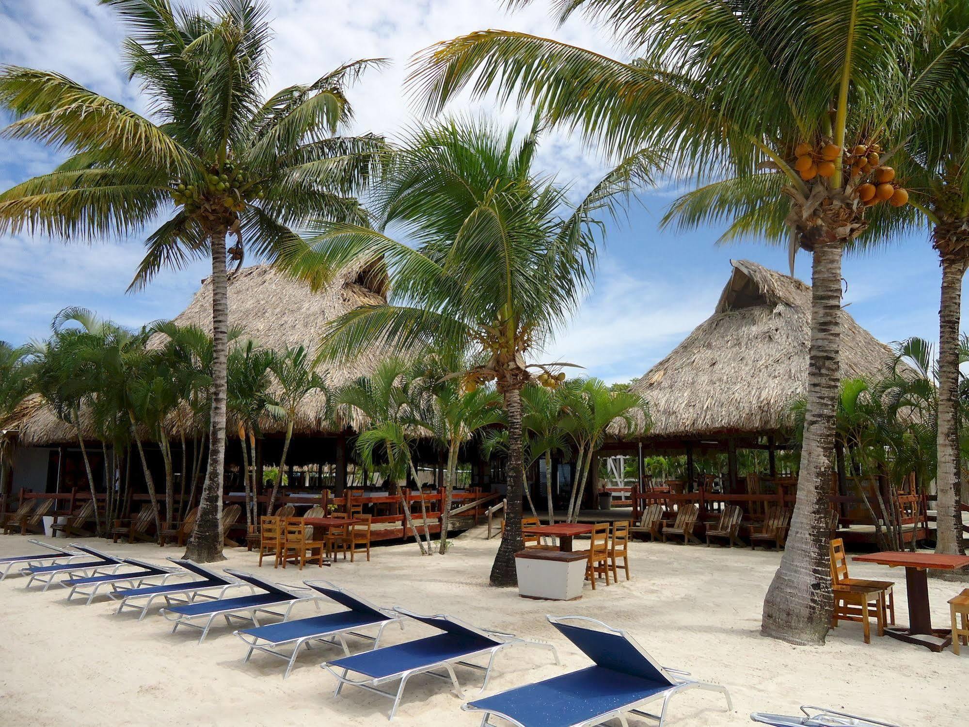 Las Palmas Beach Hotel Dixon Cove Esterno foto