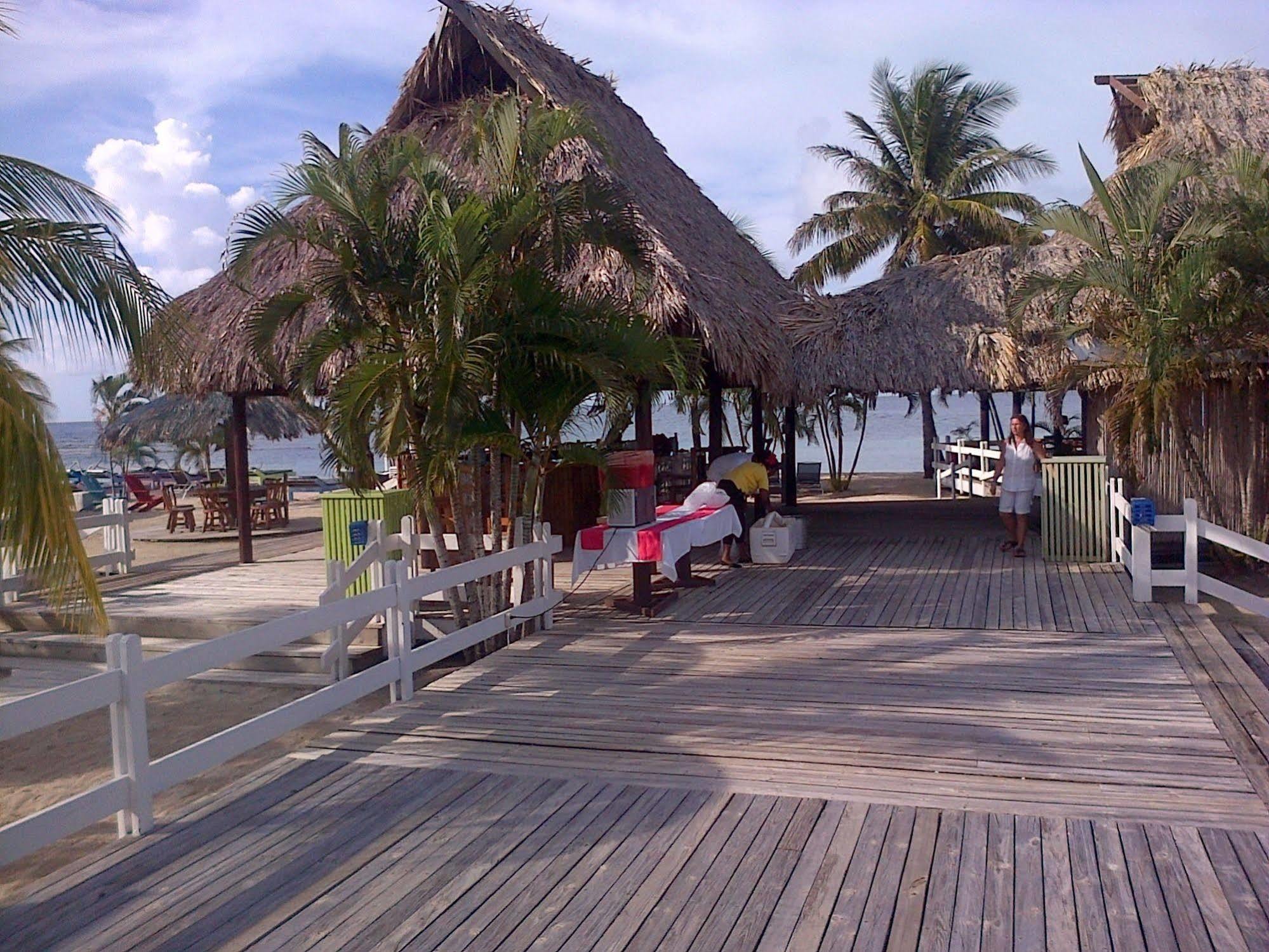 Las Palmas Beach Hotel Dixon Cove Esterno foto